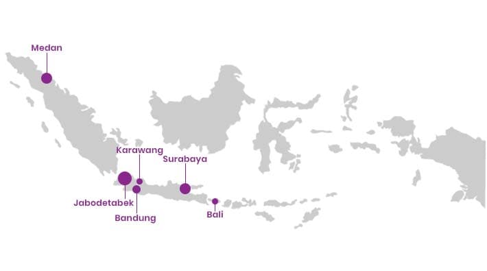 Netciti service area